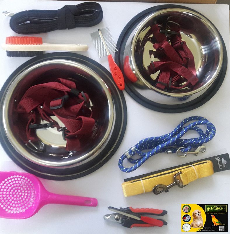 Goldtails DOG KIT LARGE & MEDIUM PACK OF 11 ITEMS Basic Comb for Dog