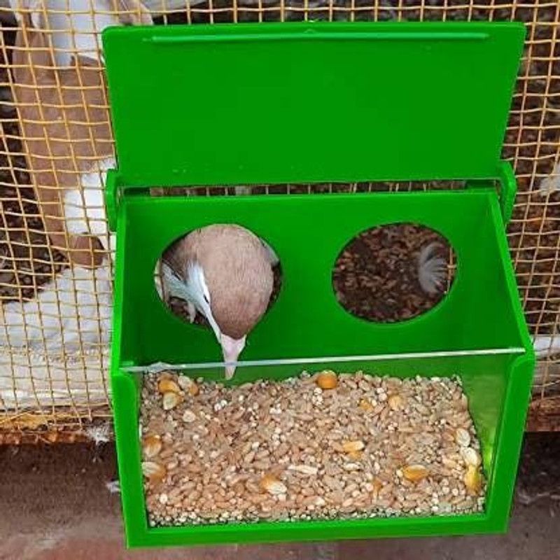 Cj farms and agritech Window Bird Feeder  (Green)