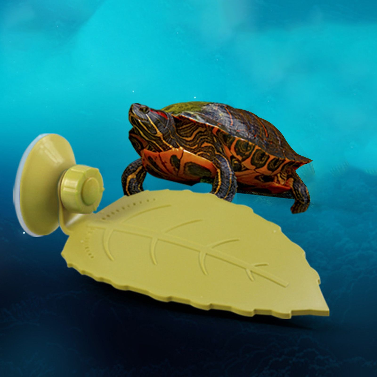 Turtle Basking Platform with Suction-Cup Reptile Basking Board Platform