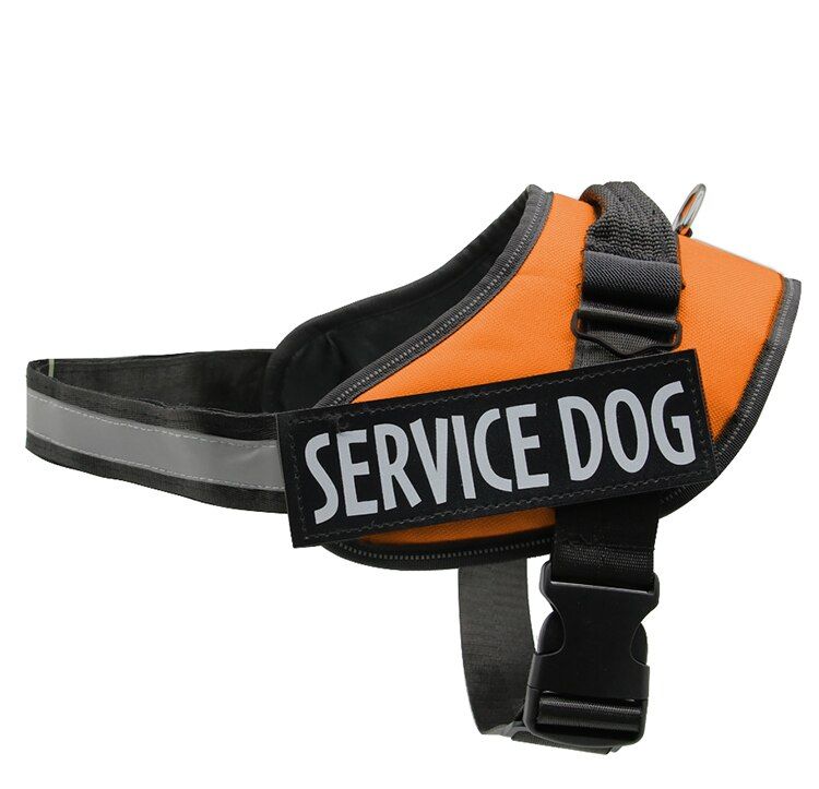 Harness Vest With ID Custom Patch Reflective Breathable Adjustable Personalized Pet Puppy Harness NO PULL  Accessories