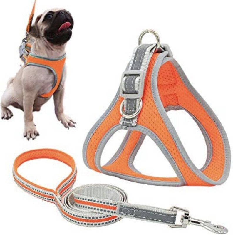 BUSHIKO Dog Harness & Leash  (Medium, Orange)