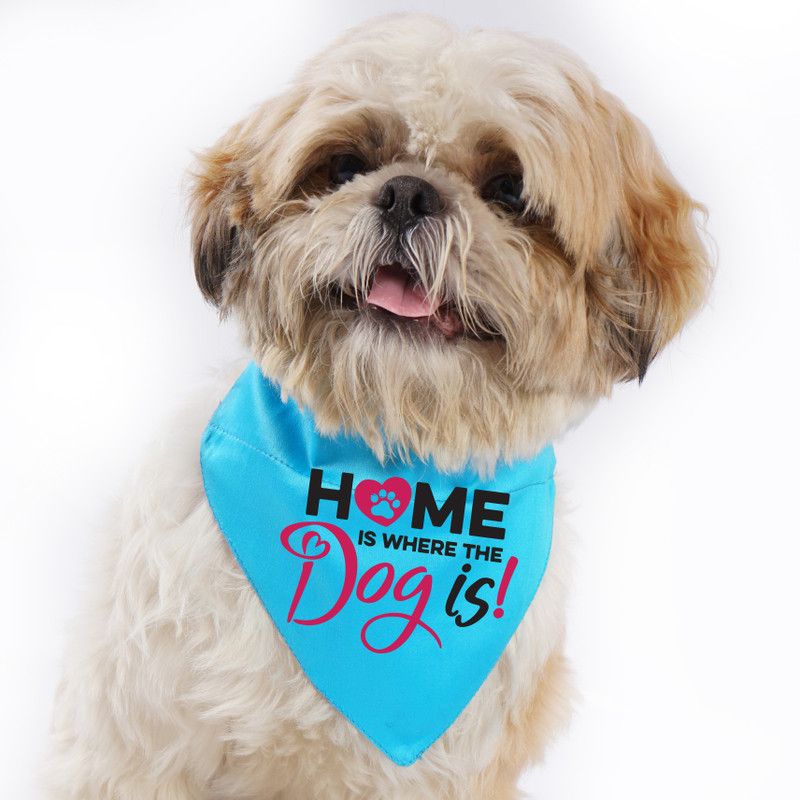 LIMIT Fashion Store Bandana for Dog, Cat  (Sky Blue)