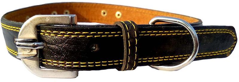 Petox Zone Medium-115 Dog Bark Contro Collar  (Medium, Black)