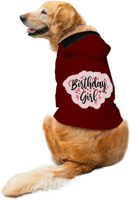 RUSE Hoodie for Dog  (MAroon)