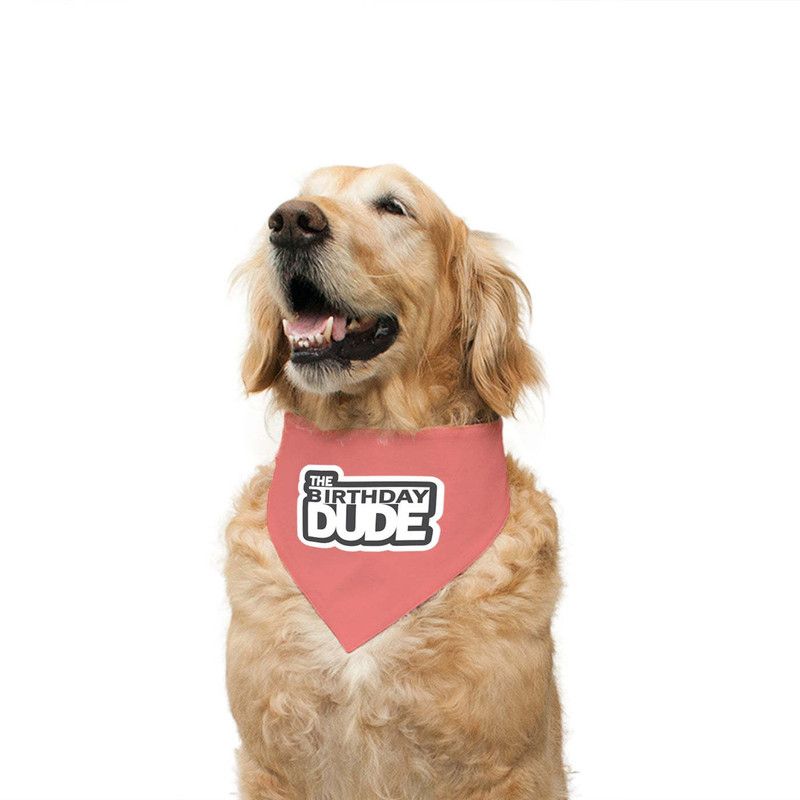 RUSE Bandana for Dog, Cat  (Reversible The Birthday Dude Printed Dog Bandana Chocolate Waffle Check)