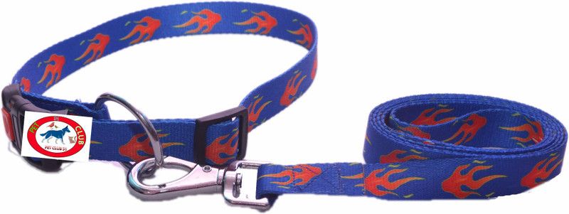 Pet Club51 printed collar and leash Dog Collar & Leash  (Extra Small, Blue)