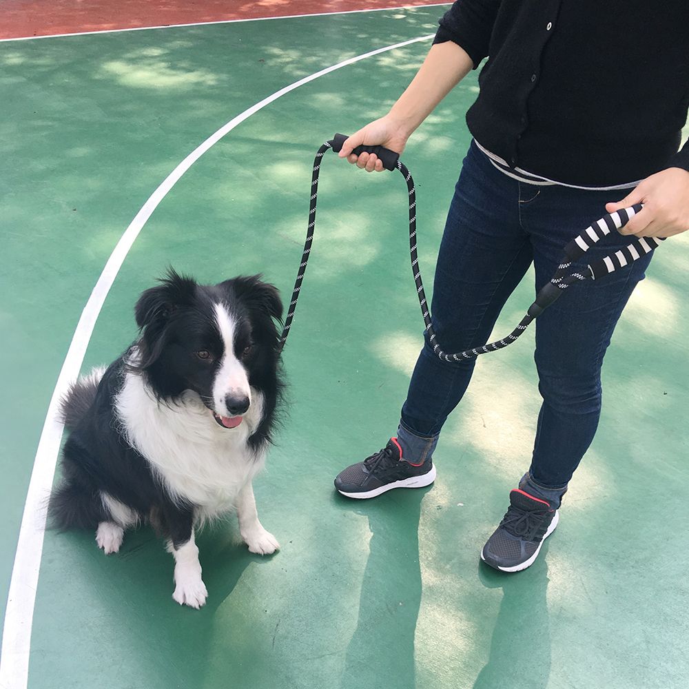 Dog Leash Double Handled Reflective Rope Dog Chain Traction Rope for Pet Training Walking Outside
