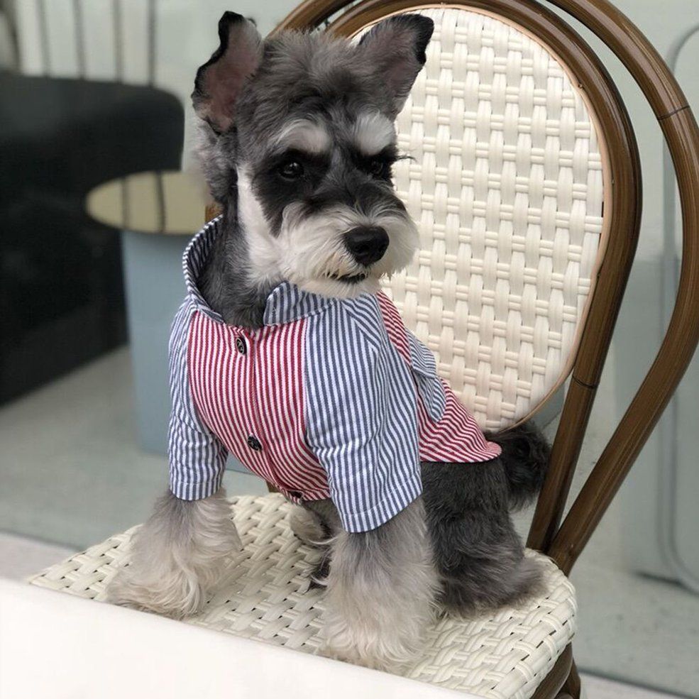 Spring Summer Pet Dog Clothes Fashion Striped  Cool Cotton Shirt - blue & red FB1