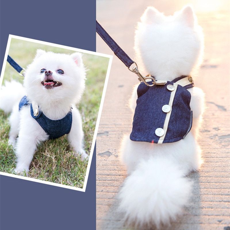 Cute Pet  Harness Leash Set Pet Chest S Breathable  Leash ng Rope For Small s meranian Pet Vest Harness Rope