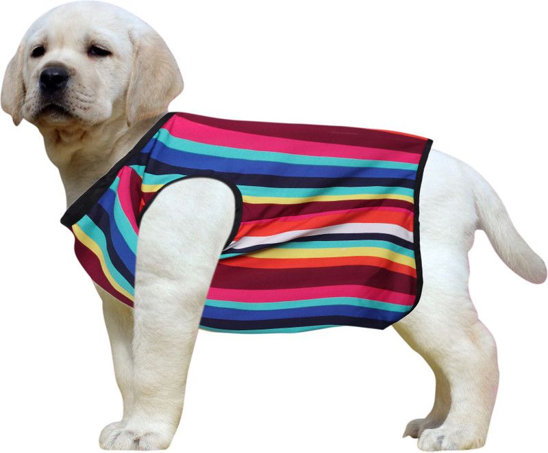 Western Era T-shirt for Dog  (Color Strip)