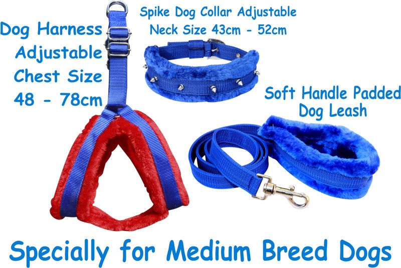 BODY BUILDING Dog Belt Combo of Fur Padded Red Blue Dog Harness with Blue Spike Dog Collar & Leash Specially for Medium Breeds Dog Harness & Leash  (Medium, Blue)