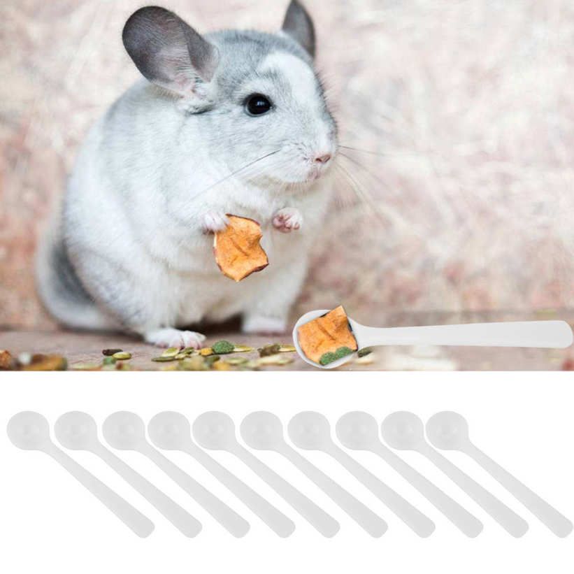 10PCS Plastic White 1G Measuring Pet Feeding Spoon for Hamster Chinchillas Guinea Pig Syrian