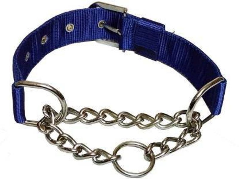 DCM PET MART Dog Choke Chain Collar  (Large, Blue)