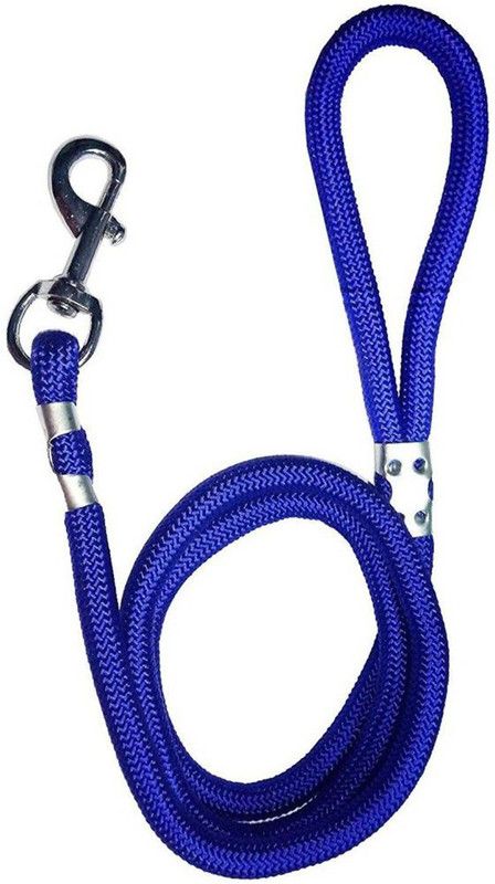 Veditya Dog Leash  (Large, Blue)