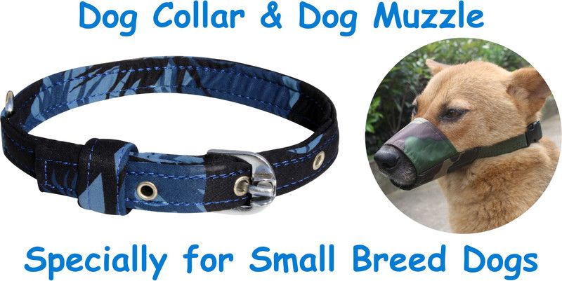 PEDIGONE Dog Belt Combo of Blue Army Print Dog Collar + Dog Muzzle Specially for Small Breed Dog Everyday Collar  (Small, Blue Army Small)