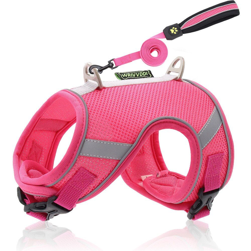 Pet Harness Chest strap Set Reflective Polyester Breathable Fabric Pet Outdoor Leash Small And Medium Pets XS-L