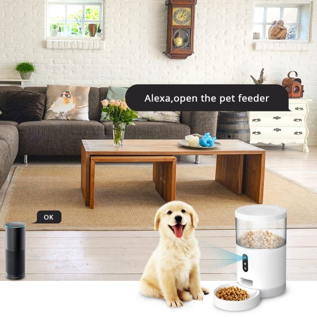 Wifi Automatic Pet Feeder Smart Cat Dog Food Dispenser Remote Control APP Timer Supplier