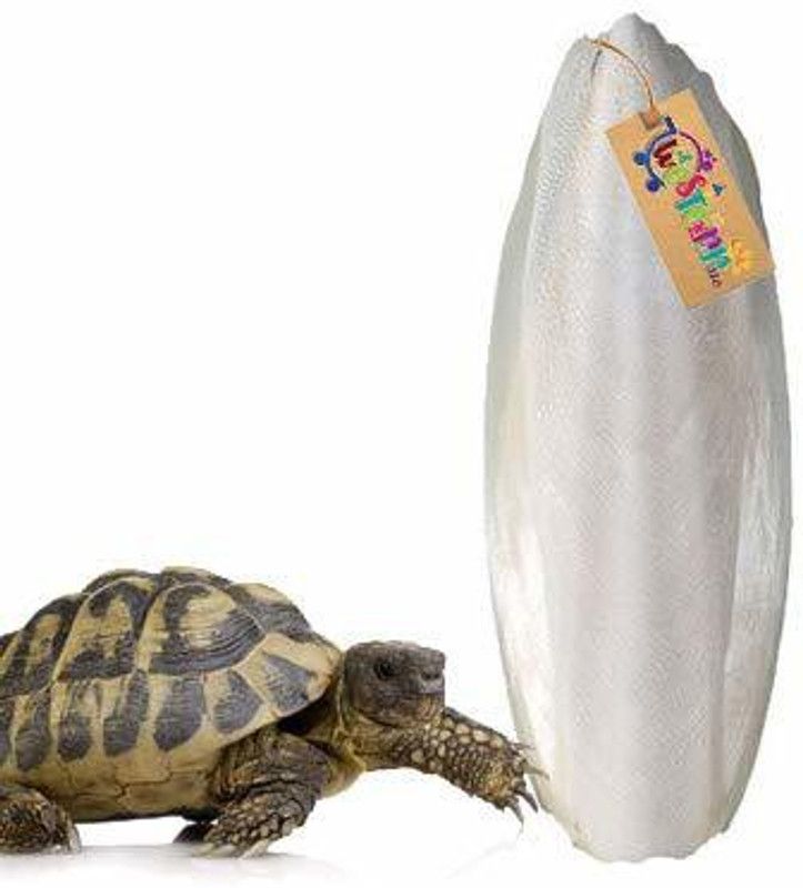 Western Era Natural Calcium Source Cuttlebone Fish for Turtle (500grm) Chicken 0.5 kg Dry New Born, Young, Adult, Senior Turtle Food