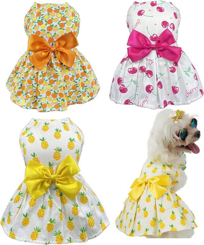 PETANGEL Frock for Dog, Cat  (Multicolor)