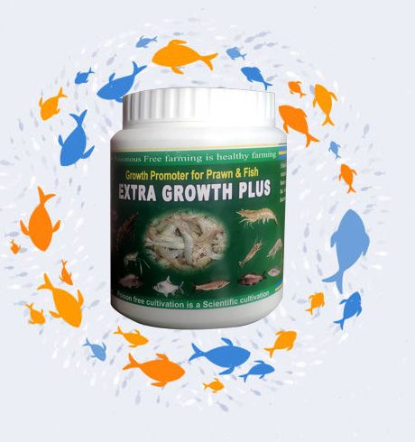 Water Clean & Extra Growth Plus (ওয়াটার ক্লিন & এক্সট্রা গ্রোথ প্লাস) 2+1=3kg ( ভিয়েতনাম )