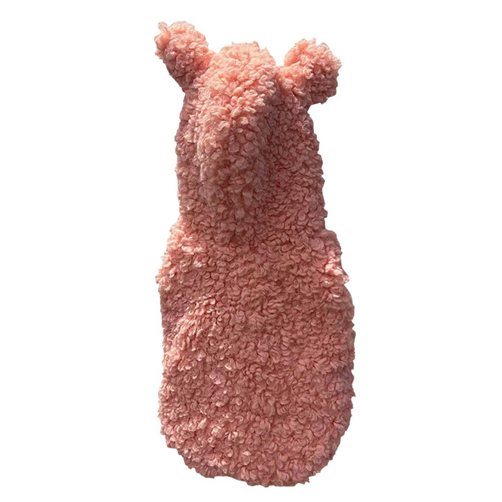 Pet Costume Button Closure Pet Dog Sleeveless Coat Clothes