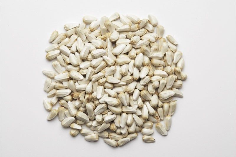 safflower seeds for budgies,cocktails,finches,conures,parrots,and other birds Nuts 1.5 kg Dry Adult Bird Food