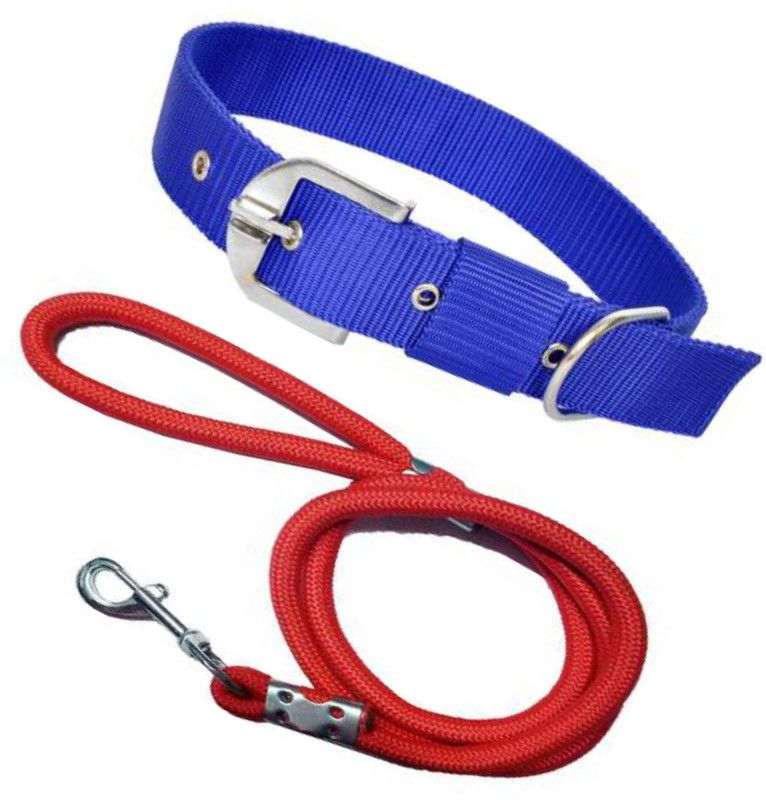 BODY BUILDING Nylon Dog Belt Combo of Blue Dog Collar with Red Lead 1.5m Lengthy Dog Collar & Leash  (Medium, Blue)