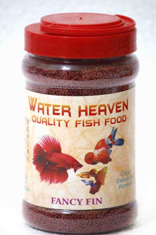 water heaven Fancy Fin premium quality high grade Fish 0.6 kg Dry New Born, Adult, Young, Senior Fish Food