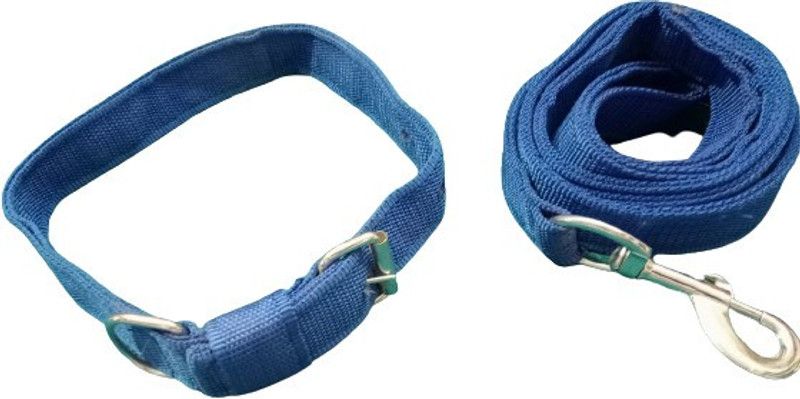 KAPOOR PETS Dog Collar & Leash  (Large, blue)