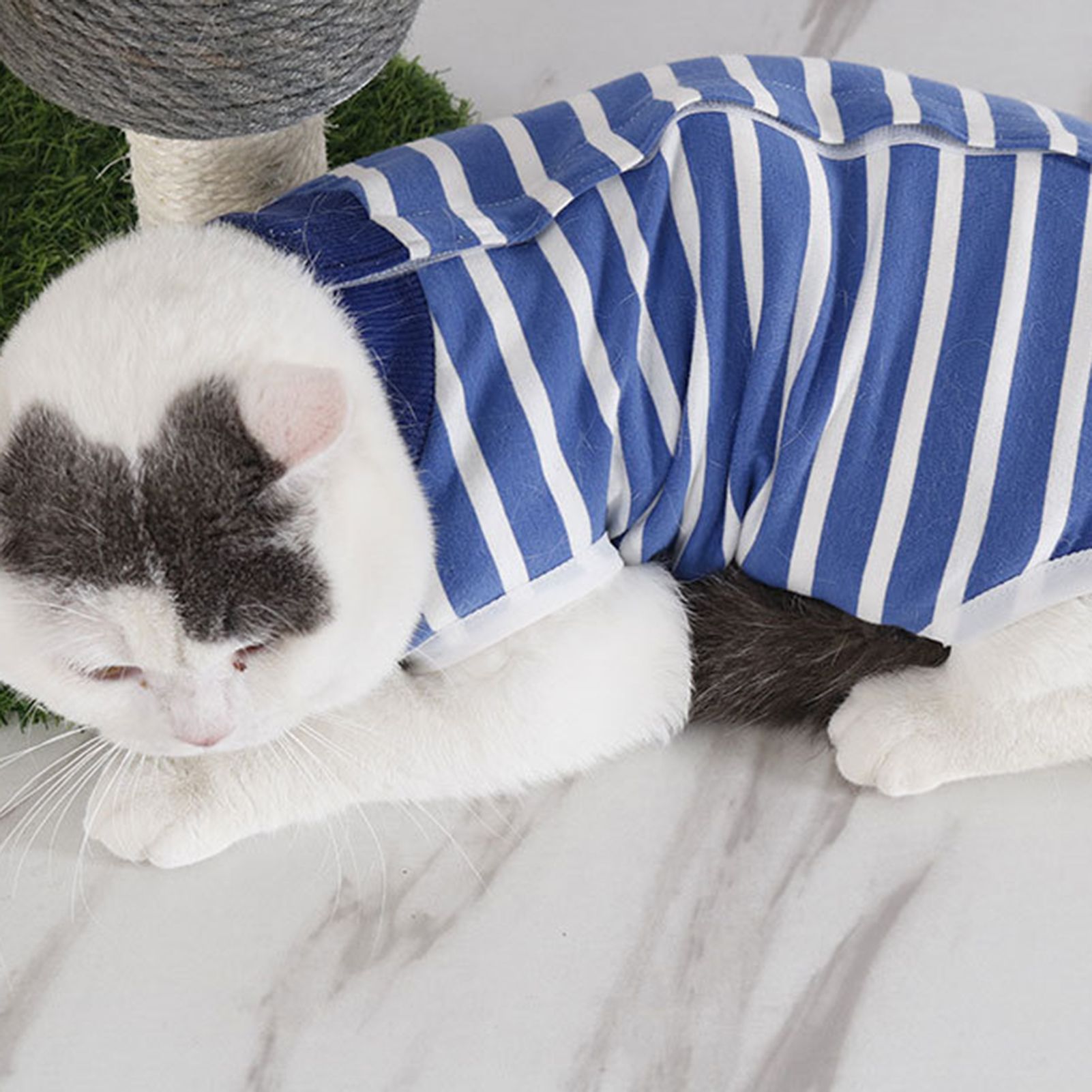 Farfi Pet Recovery Suit Striped Pattern Protect Wound Pet Recovery Suit