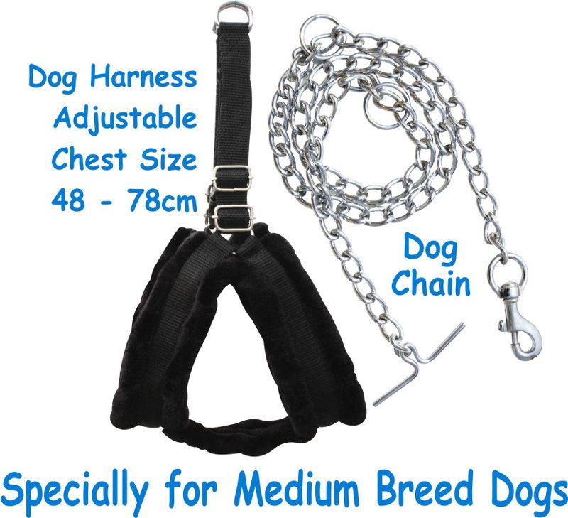 BODY BUILDING Good Quality Nylon Padded Black Fur Dog Harness with Dog Chain 1.2m Lengthy Dog Harness & Chain  (Large, Multi-Color)