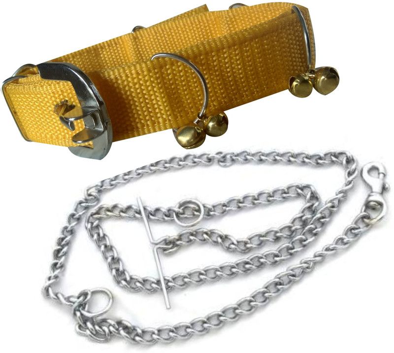 PEDIGONE Good Quality Nylon Dog Belt Combo of Yellow Ghungroo Collar with Dog Chain 1.5m Lengthy Dog Collar & Chain  (Medium, Multi-Color)