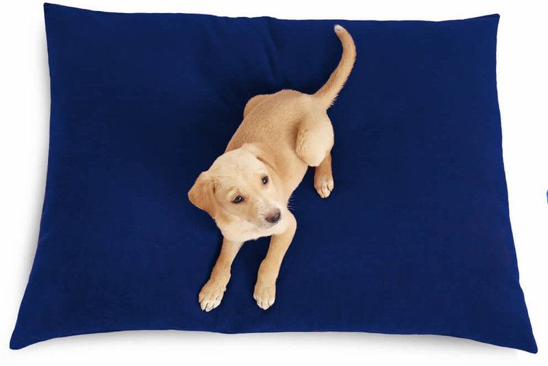 Prazuchi - Handcrafted Perfection B07G48TLRV-Luxury Waterproof Dog Bed for All Breeds L Pet Bed  (Navy Blue)
