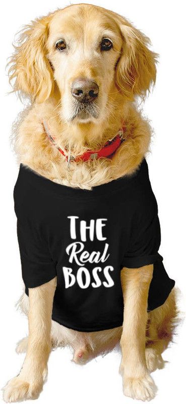 RUSE T-shirt for Dog  (Summer Crew neck"THE REAL BOSS" Printed Tee Gift for Dogs(Black)XS)
