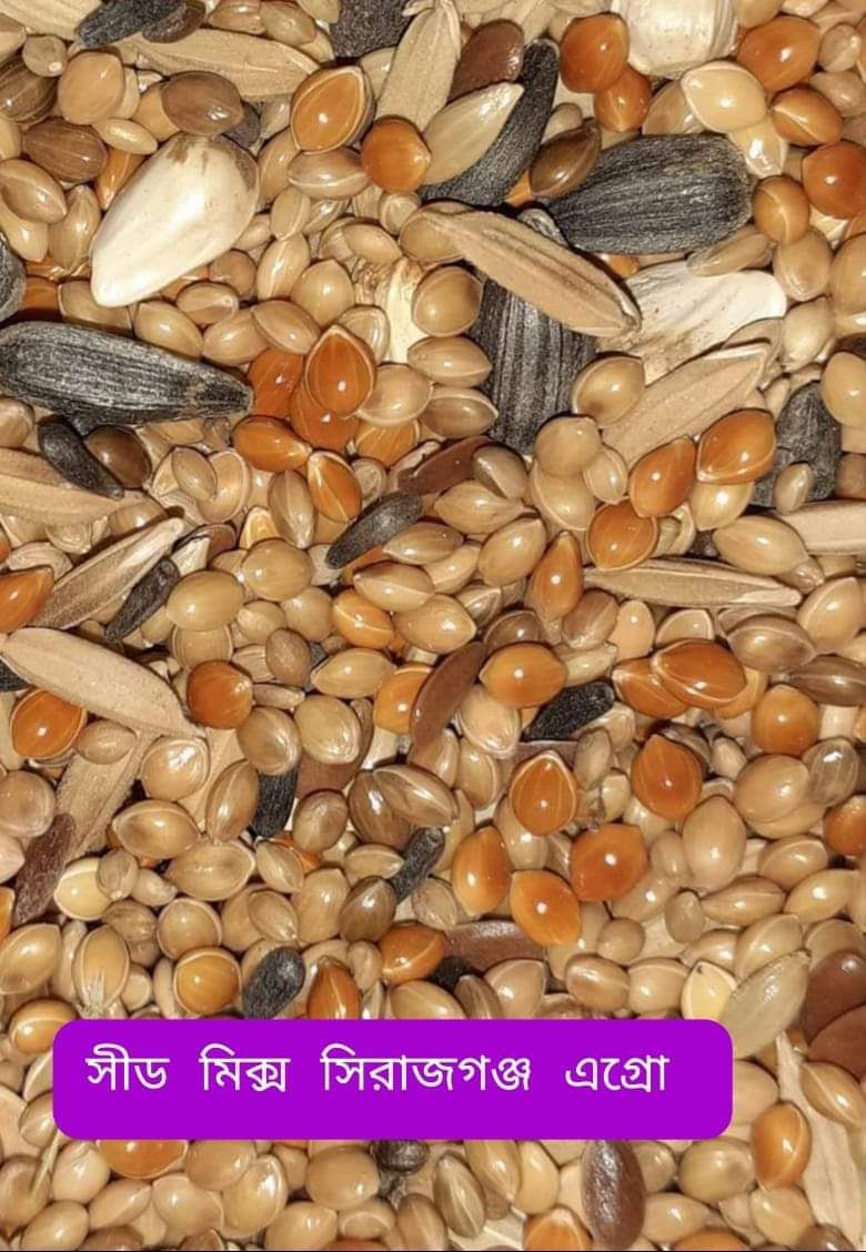 20 KG Specials Seed Mix For Budgerigar And Other Parrot Food 20 KG