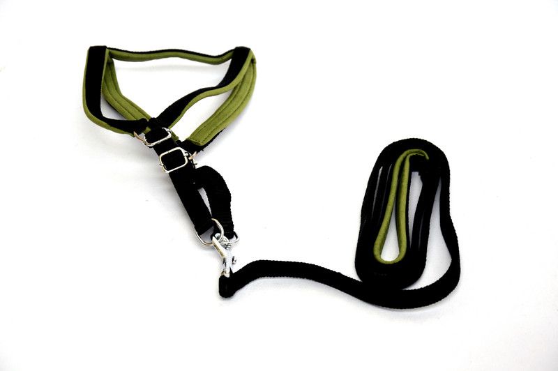 DOGISTA Dog Standard Harness  (Extra Small, black)
