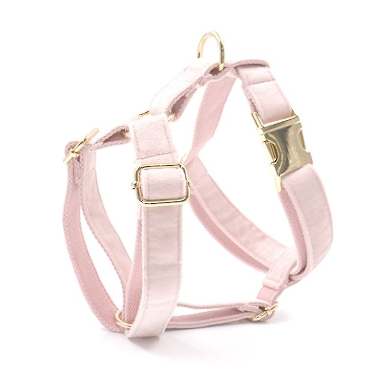 Harness Personalized Name Thick Velvet Soft Pet Harness for Small Medium Large  Quick Release Buckle Harness for