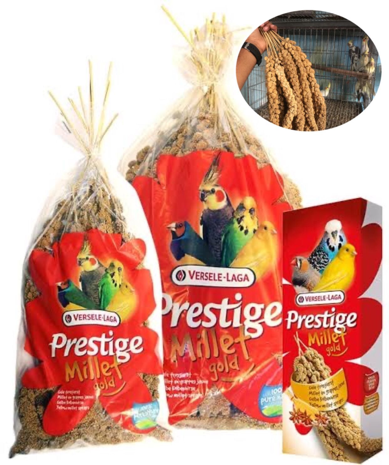 white Millet Spray For Bird (Veresele Laga)-300g