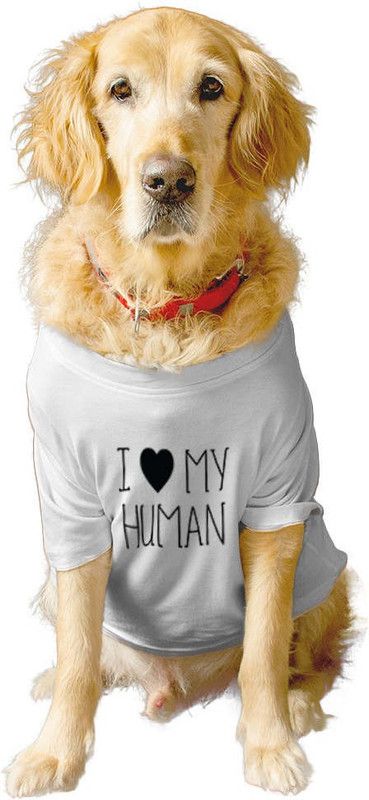 RUSE T-shirt for Dog  (Summer Crew neckI LOVE MY HUMAN" Printed Tee Gift for Dogs(White)S)
