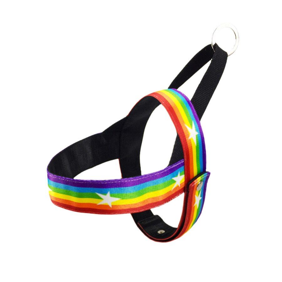 No-pull  Harness For Small Medium Large  Pitbull Bull Pet Chest S Leash  Training ng Safety Vest Harness