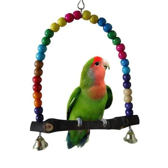 Birds Toy for Any birds