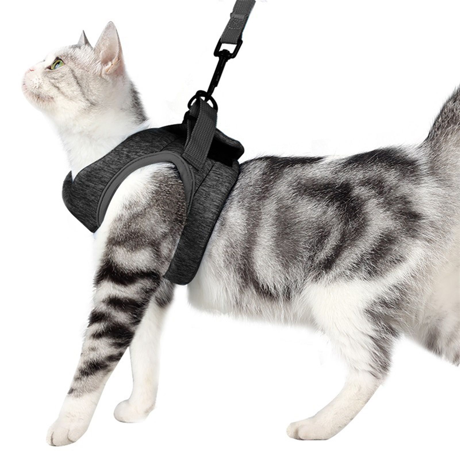 Cat Dog Solid Color Chest Strap Elastic Walking Leash Harness Small Pet Supplies
