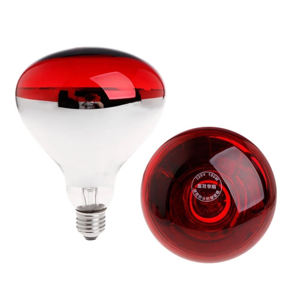 Infrared Heat Lamp Poultry Brooder Chicks Or Birds farming Waterproof Hatching Puppies  Piglet Bulb for Chicken