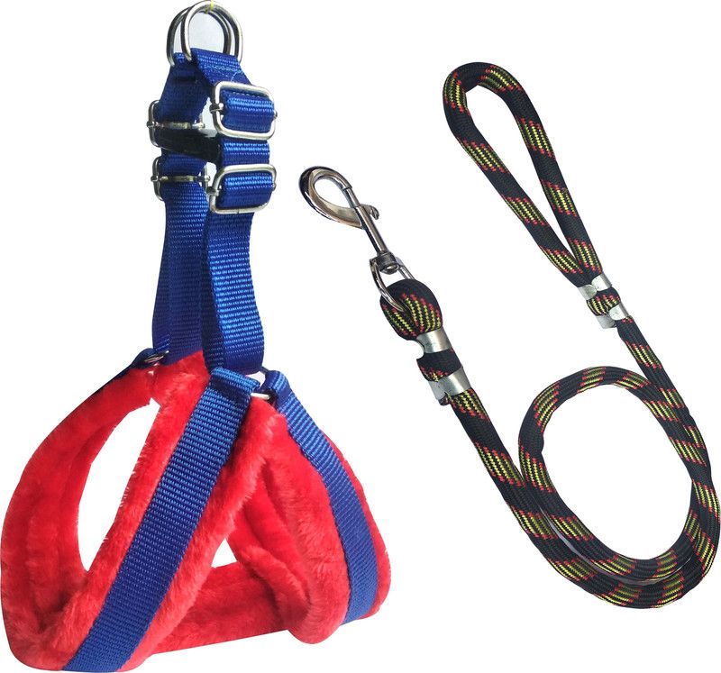 BODY BUILDING Dog Belt Combo of 1 inch Red-Blue Feather Padded Dog Body Cross Harness with Black Lead 1.5m lengthy Dog Harness & Leash  (Medium, Multicolor)