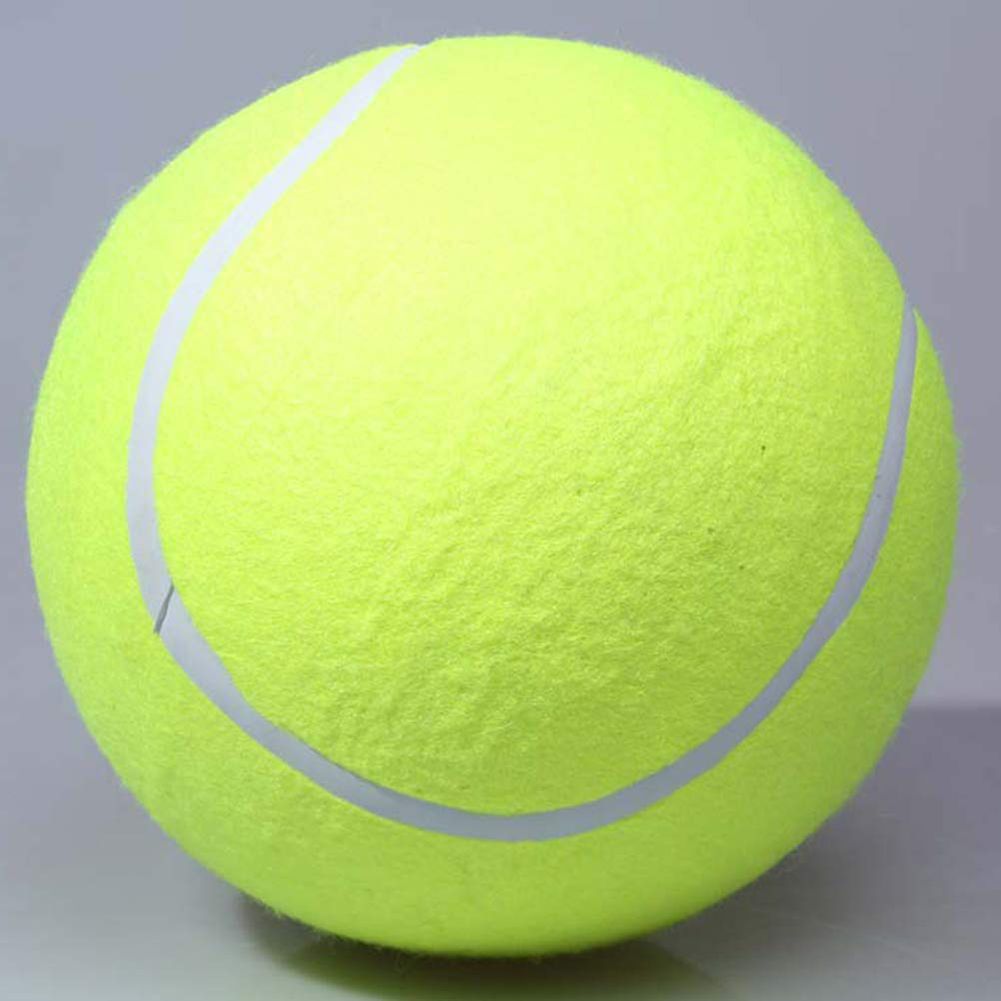 24cm Durable Inflatable Rubber Dog Tennis Ball Pet Catching Game Training Toy