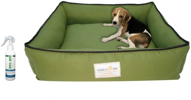 HouseofFurry 81 M Pet Bed  (Green)