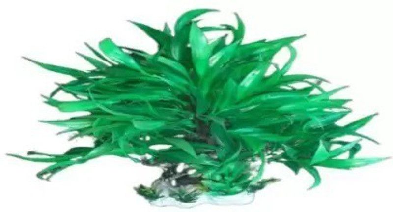 Kapoor Enterprise PNT02 Aquarium Plant Aquarium Plant Anchor ({Plant Anchors1) Aquarium Plant Anchor  ({Plant Anchors1)