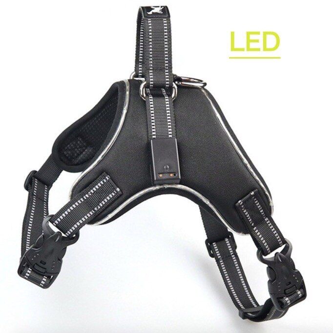 Rechargeable LED Harness for Pets  Tailup Nylon Led Flashing Light  Harness Collar Pet Safety Leash Belt  Accessories