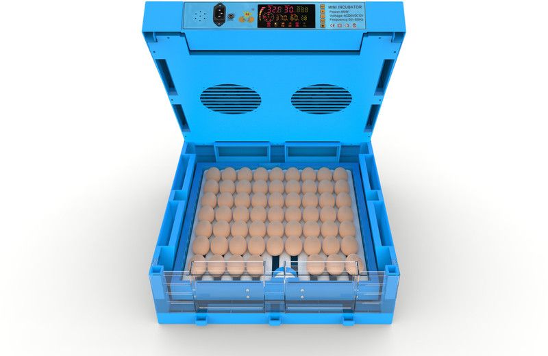 TM&W 128-BlueR1-10 Egg Incubator