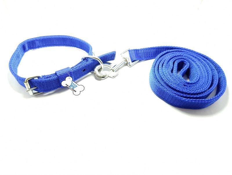 THE DDS STORE Dog & Cat Collar & Leash  (Small, BLUE)